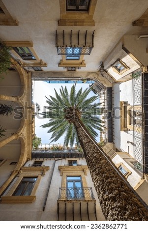 Courtyard of a historic house with palm tree in Palermo town at Sicily, Italy, Europe. Royalty-Free Stock Photo #2362862771