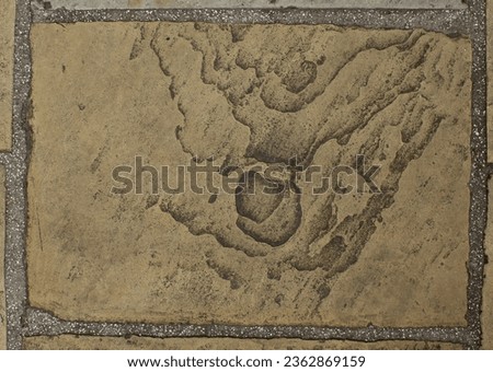 An old paving stone that has been worn by countless footsteps creates a fine abstract photographic background as well as producing patterns that imaginative people can turn into pictures or maps