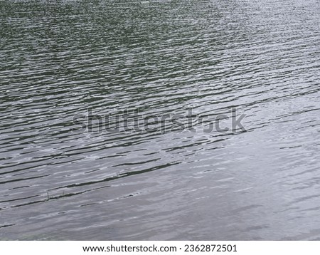 Clear natural lake. Still water picture