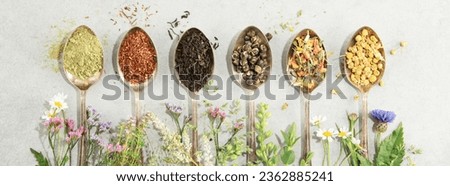Different types of tea in vintage spoons. and Healing herbs  Flat lay, top view on concrete background. Matcha, rooibos, black, green, herbal mix and chamomile tea.  Royalty-Free Stock Photo #2362885241