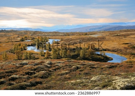 Indian summer in the mountains in Norway, the picture was taken in the Forollhogna National Park