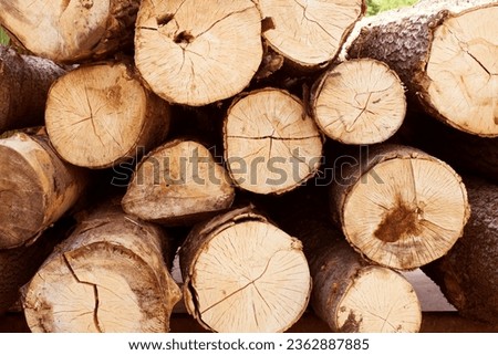 A pile of pine logs in a sawmill warehouse. Lumber for construction	
