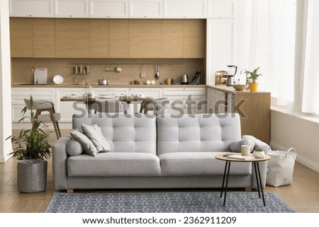 Stylish studio furnished apartment interior with no people. Cozy living room with new comfortable couch, stylish kitchen in pale Scandinavian colors promoting home domestic comfort Royalty-Free Stock Photo #2362911209