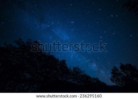 Amazingly peaceful photo of the milky way above silhouetted trees.
