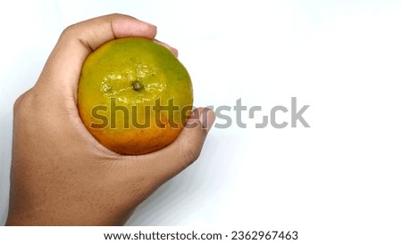 Hand holding orange with leaves. Tropical fruit in palm isolated on white background. Cropped view. Side view. Studio shot. Nutrition and vegetarian concept
