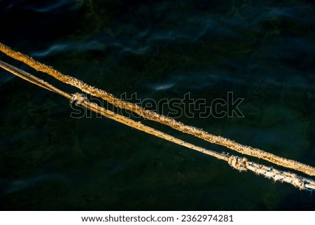 Illuminated rope by sun. Knots. Light Water lake, dark background. Midday. 