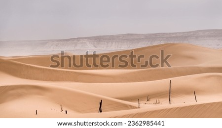Sand dunes in the Senek desert in the Kazakh desert, desert sand texture for background Royalty-Free Stock Photo #2362985441