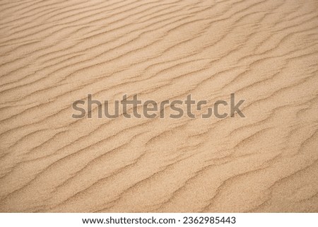 Sand dunes in the Senek desert in the Kazakh desert, desert sand texture for background Royalty-Free Stock Photo #2362985443