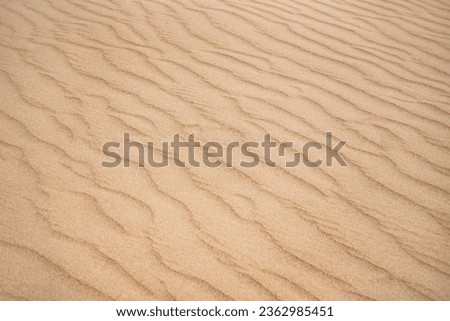 Sand dunes in the Senek desert in the Kazakh desert, desert sand texture for background Royalty-Free Stock Photo #2362985451