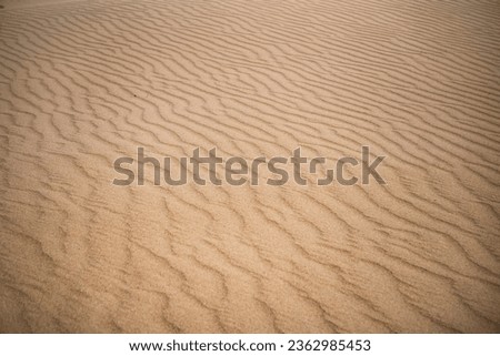Sand dunes in the Senek desert in the Kazakh desert, desert sand texture for background Royalty-Free Stock Photo #2362985453