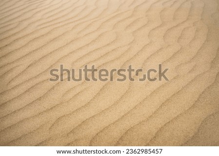 Sand dunes in the Senek desert in the Kazakh desert, desert sand texture for background Royalty-Free Stock Photo #2362985457