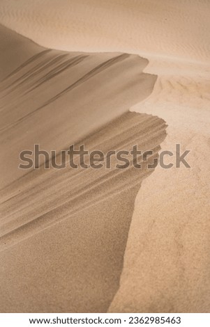 Sand dunes in the Senek desert in the Kazakh desert, desert sand texture for background Royalty-Free Stock Photo #2362985463