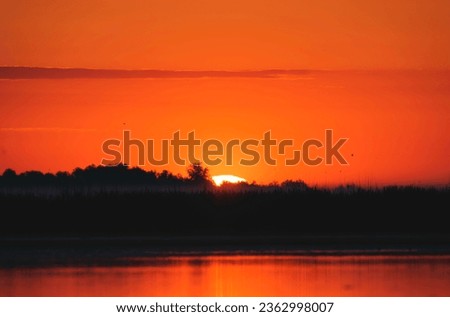 A stunning sunset over the Danube Delta, showcasing the rich biodiversity of the ecosystem environment conservation eco