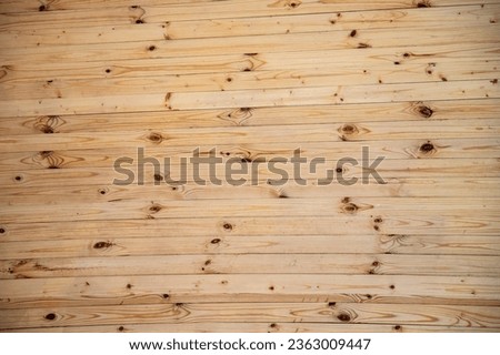 Old wood planks grunge background, wooden fence texture.