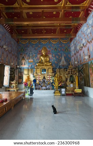 Buddha statue in white buddhist temple Wat Kaew Korawaram (Grovaram) in Krabi town, Thailand with  black cat in front. Focus on the Buddha image. 