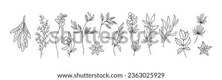 Set of Hand drawn winter plants sketch. Christmas branch. Holly twig. Mistletoe leaves and flowers. Poinsettia flowers. Line art floral botanical Vector illustrations isolated on white background.