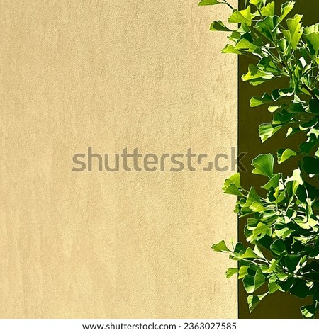 A minimalistic photographic account of a scene in the Queen Anne neighborhood of Seattle Washington where nature is seen as a counter position to a man-made wall.
