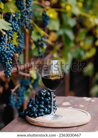 glass with red wine on a wooden barrel in the vineyard. Royalty-Free Stock Photo #2363030467