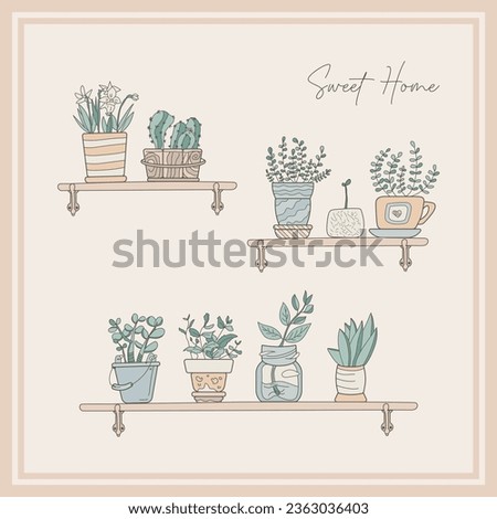 Illustration of Shelves with house flowers in pastel colors. Sweet home. Flowers in pots. Plantsman.