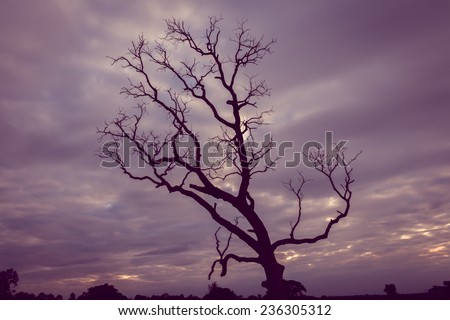 vintage tree silhouette landscape background