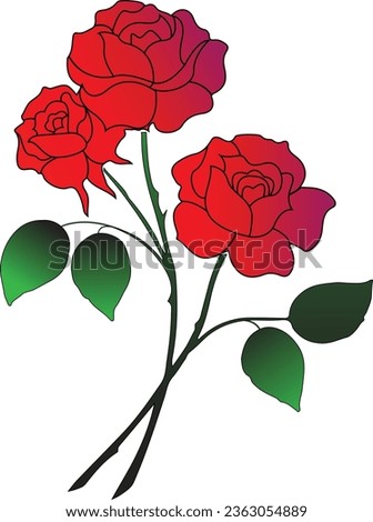 Beautiful rose flower.Multiple roses use for better experience.Green color leaves used for giving it a real vibe.