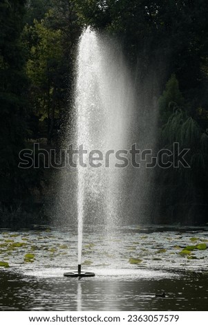 An Artesian Fountain is Throwing a Beautiful Veil of Water Droplets onto the Lake Surface