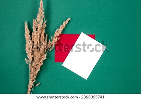 Red envelope with empty white card for text, dry spikelets on green background. Blank invitation or greeting card mockup with copy space, autumn concept