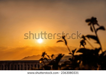Panoramic view of sunset from the balcony, tree and flowers silhouette, background template.