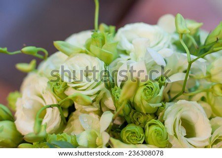 beautiful wedding bouquet ; Close up