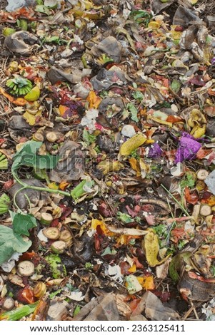 Organic waste, food waste, such as peels, stalks and leaves of fruits and vegetables, coffee grounds, paper, and the like, on composting windrows for the production of fertilizer. Royalty-Free Stock Photo #2363125411