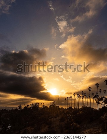 Sunset With Clouds and Palm Trees