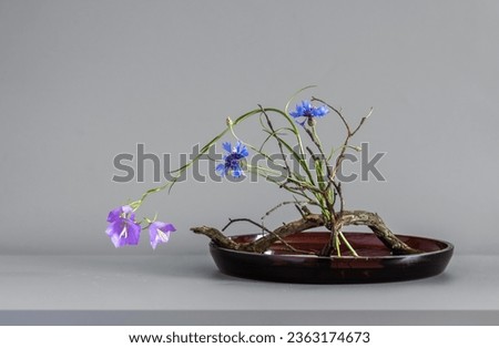 Composition with flowers and a dried branch in a minimalist style.
