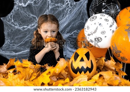 A little witch girl is funny eating a slice of pumpkin on the background of Halloween attributes. Halloween's holiday attributes. Lantern carved from pumpkin known as Jack-o-lantern. Trick or treat.