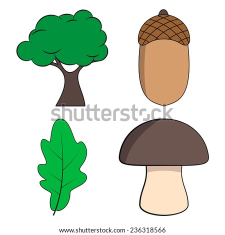 Cartoon Oak Tree, Oak Leaf, Acorn and Mushroom Set Illustration