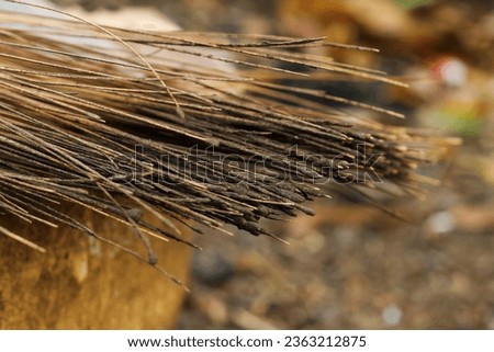broom sticks covered in wet soil. Broom sticks are used to sweep the yard