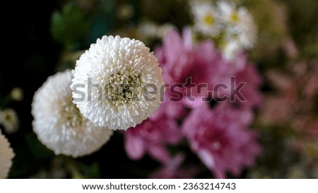Close-up photo of beautiful flowers used for event decoration with colorful flowers.