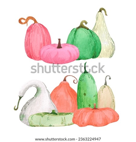 Hand drawn watercolor autumn pumpkin illustration isolated on white background. Can be used for label, Scrapbook, post card and other printed products