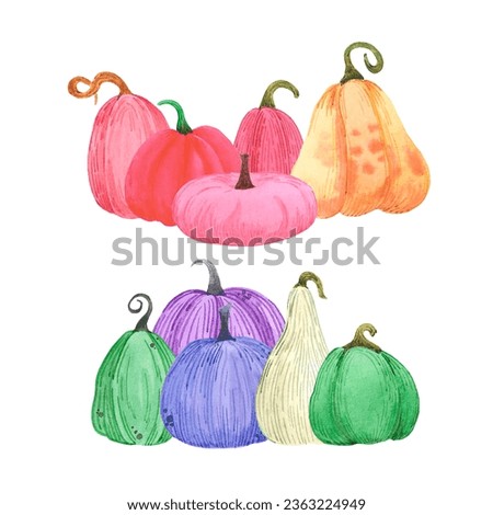 Hand drawn watercolor autumn pumpkin illustration isolated on white background. Can be used for label, Scrapbook, post card and other printed products