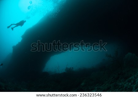 Diver swimming above in Ambon, Maluku, Indonesia underwater photo. Various coral reef in bottom of the sea.