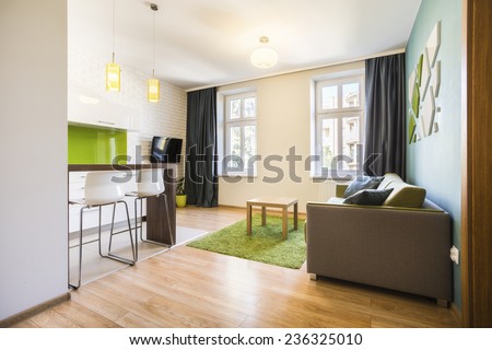 Modern small studio interior with green details Royalty-Free Stock Photo #236325010