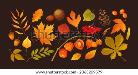 Set of cartoon icons with autumn leaves, berries, pine cones, chestnut and physalis