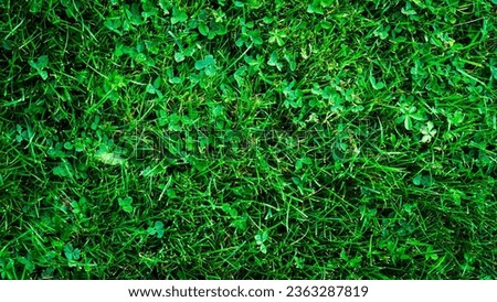 Texture background of green grass with uneven shapes