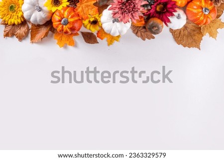 Autumn holidays and sale background. Thanksgiving Day greetings card. Multi-colored pumpkins, autumn leaves and flowers, acorn cones, decor on a white background top view copy space