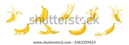 Banana as Elongated, Edible Fruit Covered with Yellow Rind Vector Set Royalty-Free Stock Photo #2363339423