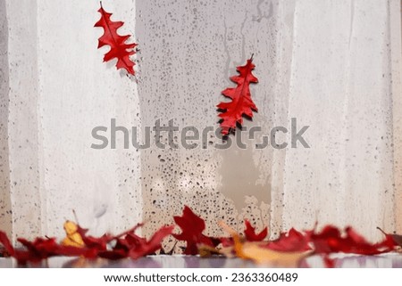 falling autumn dry red oak leaves against the background of a wet window with curtains, view from the street. Autumn concept of weather change Royalty-Free Stock Photo #2363360489