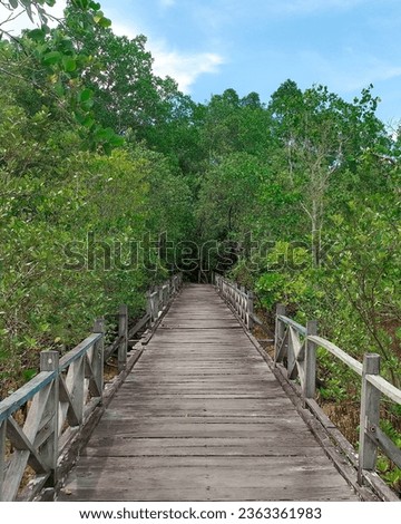 Bridge in the mangrove forest at Teritip Beach, Balikpapan City, East Borneo. Picture taken on October 2022.