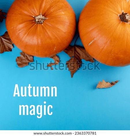 Autumn magic text in white on blue with autumn leaves and halloween pumpkins. Halloween, october 31st, all hallows' eve, tradition and celebration, digitally generated image.