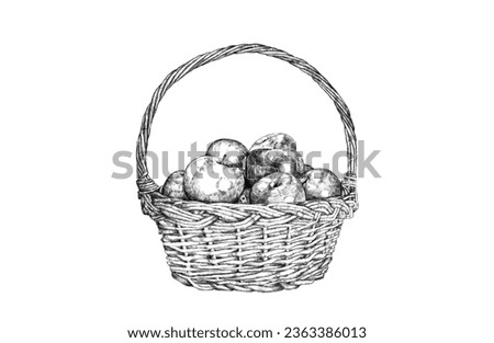 Illustration of line art basket with apples
