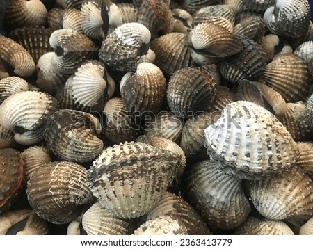 Fresh shellfish specific to areas in Thailand
