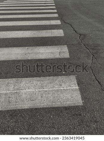 Pedestrian crossing. Asphalt. White breaks on the asphalt